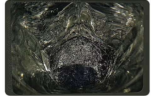 Item #84964995466259791953340824969494678004764676720352360942652049419143888240641 Media