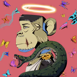 88773762375852173183414282271947564872720544888992087052403862433193516859393