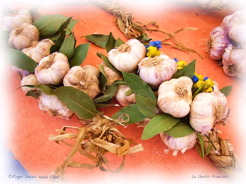 Item #25766228410116791685339336380012731519026805930459738932816938691762891784292 Media