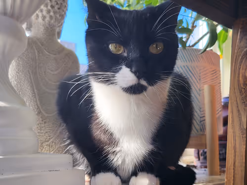 Item #28461787698947897266154548463120428231883431960056562745194698789195129815041 Media