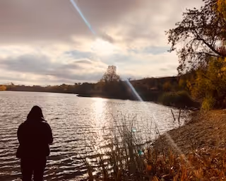 teamnosleep_x Collection