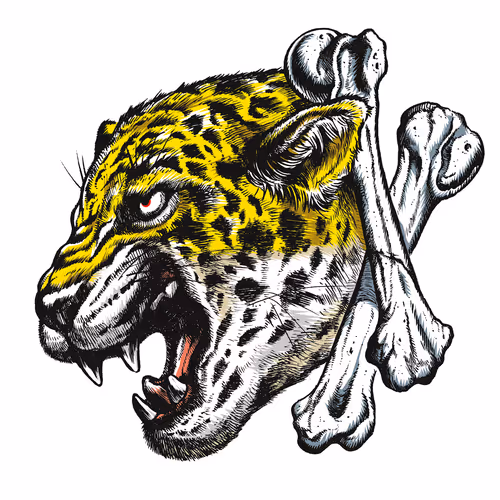 Item #96253313655138226705504031728746155625979506730368912420724373436753973870593 Media