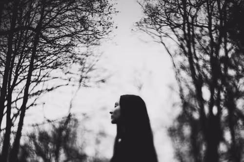 Item #113300456265572054290641269231913614430655375386256613734739386375371606720513 Media