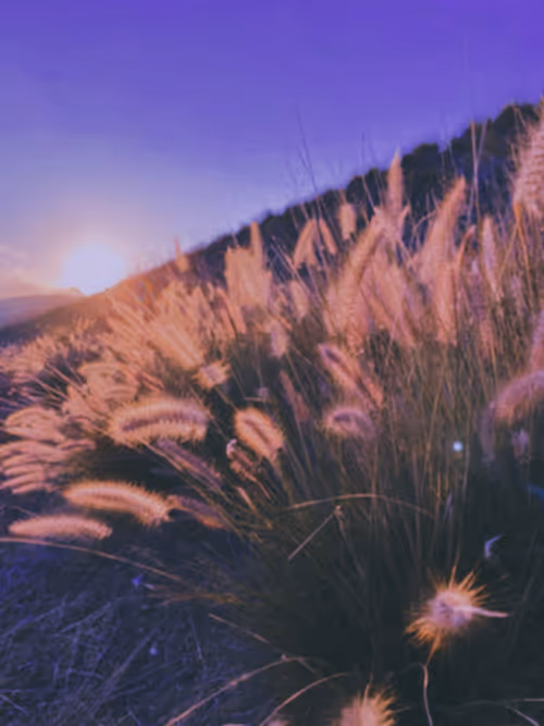 Item #27434377377013038178664737441891876800279773627045091571206927181382120636417 Media