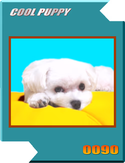 Item #21477548388787063266658748687199700189937005018840532589754440456891040530433 Media