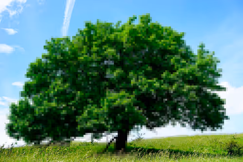 Item #105603725609947989499044129472074064723412167009068320432332286916331382505473 Media