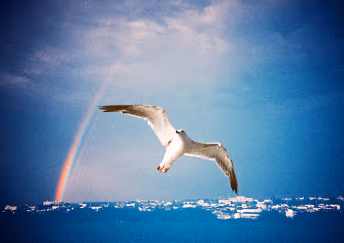 Item #42626720449793049245731240582970290857527864811431423741856946912687529394177 Media