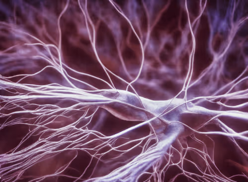 Item #98695163844141812296559601516468632585703412525772017875852753199989740535809 Media