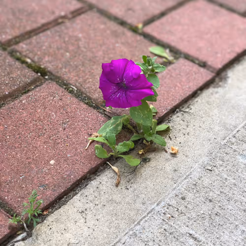 Untitled Collection #137239765