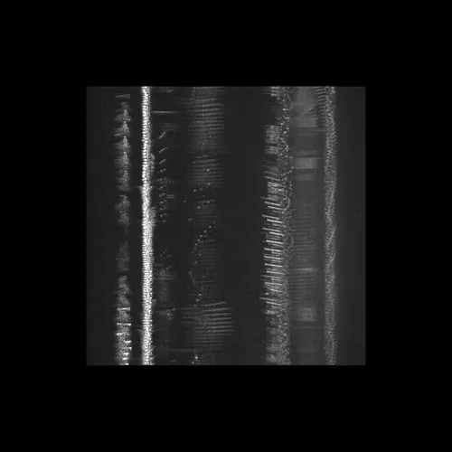 Item #43939955971694368961434358164711021081057237677410347264159755104915103416321 Media