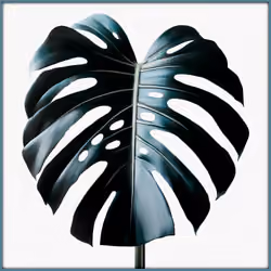 MONSTERA DELICIOSA I