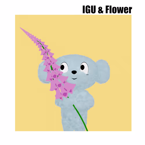 Item #111277502835220488848668857396153750557400918997543607811736850352802732441700 Media