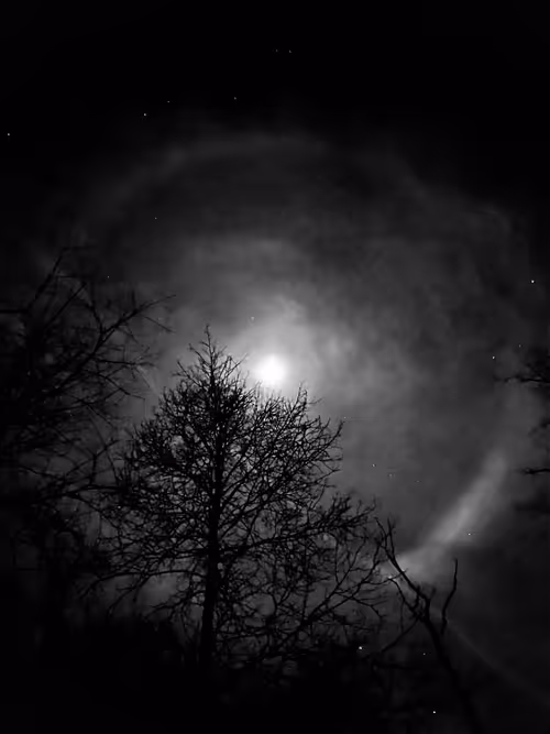 Item #19841423673673061120678522492980359232702795421164906781459419142701742817281 Media