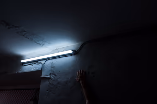 Item #88837150709499798352031986971363165703044907958800399059978422772201412362241 Media