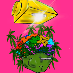 pothead