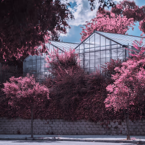 Beyond Violet