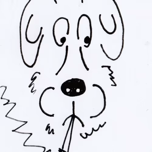 58803174874303169033825365333341521085253261648716144417216055406193484496897