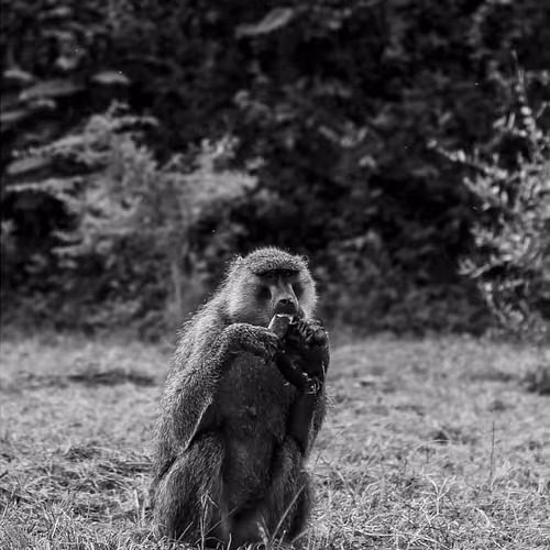 Not In Colour Moments