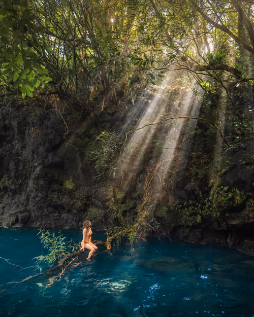 Item #82007330900791544464165619795045730741367351453180481103440088212322589343745 Media