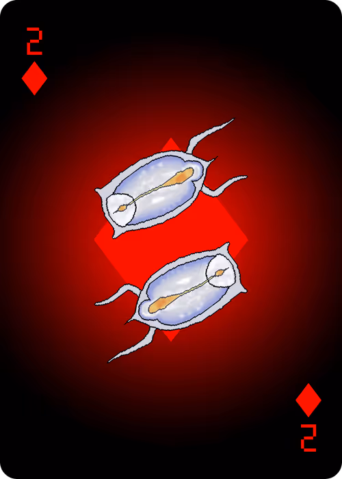 Item #60758737692598365399439544709715132169547734655443315491174743458847161057281 Media