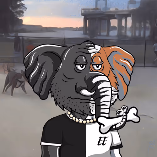 Elderly Elephants Team