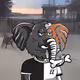 Elderly Elephants Team