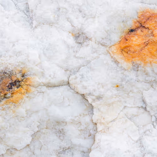 89716942802498903345130334803239853703441552995015827228005889624702124556289