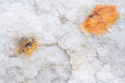 Item #89716942802498903345130334803239853703441552995015827228005889624702124556289 Media