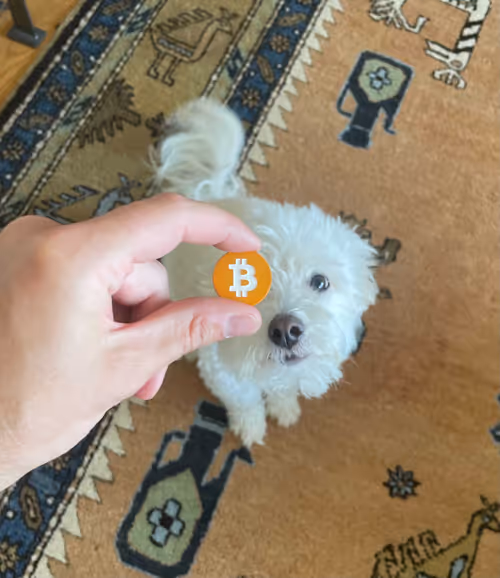 Item #87936365084545024922954846266013406485791365954799981050467889686092688916481 Media