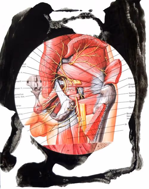 Item #35041902778173331559680500540735012093335203387204658820110218343439400960001 Media