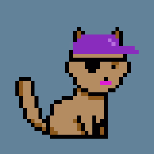 PunkCat #8077