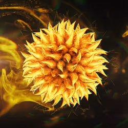 112708175347946942745576477305860185029894957501525630969455647887048755380225