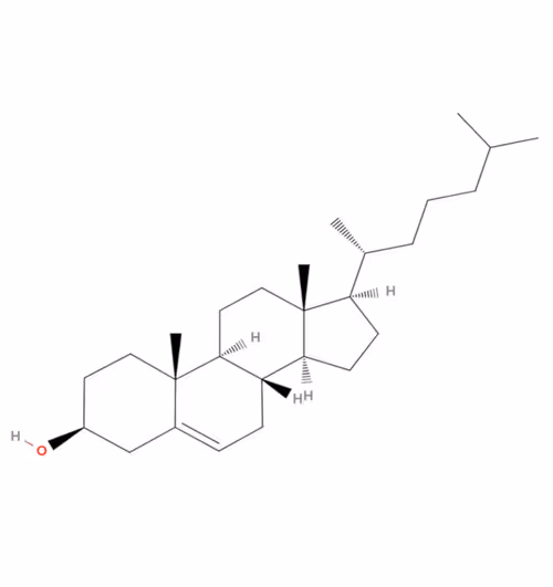 Item #6895014234627163050737378785314780517840252210151944751389923242714742128641 Media