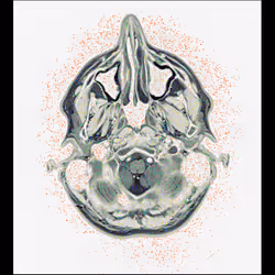 64162533542198579898252916190583583845604629893829087458582975611652087480321