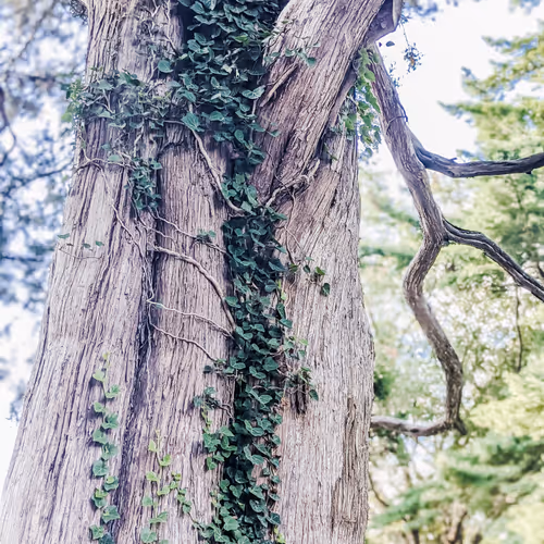 Filling in the cracks