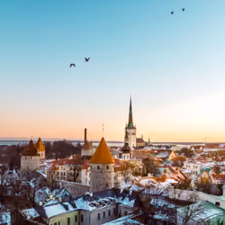 30. Dawn Birds, Estonia