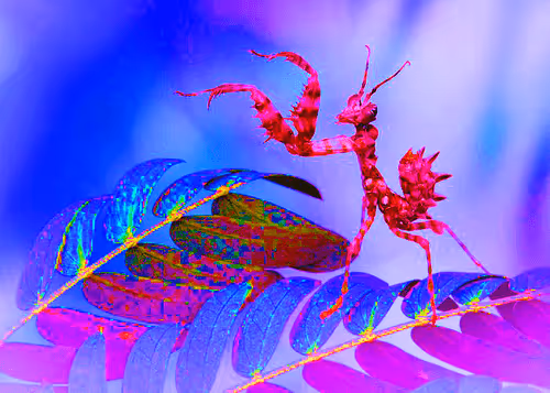 Item #99573757737983831021153303026229718025849584965265171021817306554019080044545 Media