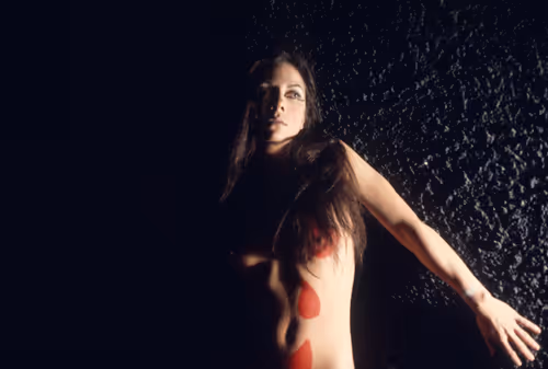 Item #63230500154512860062790662339821630911330338784363865767864769533701693374474 Media