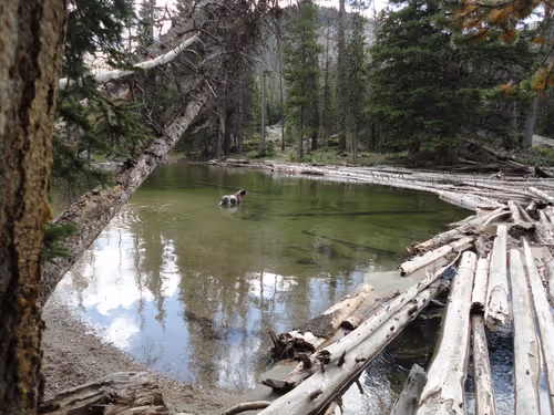 Item #16263512961791856711247121733635831063017980607655965458580933690006674866177 Media