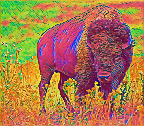 Item #75164984898551115248887010361709320867309151549896276985250493153823388860417 Media