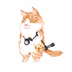Photographer Cat