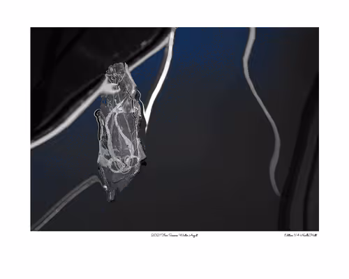 Item #24600310660482288606297797528155087939323639147399647196853483660031981256705 Media