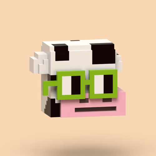 Voxelnouns