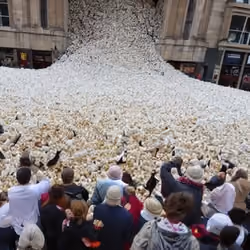 popcorn for peace