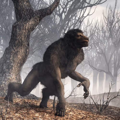 15201862250514145958676777466825728141953005429687029988591517143664588488705