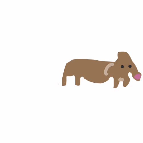 Peccary