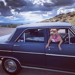A Classic Ride to New Mexico