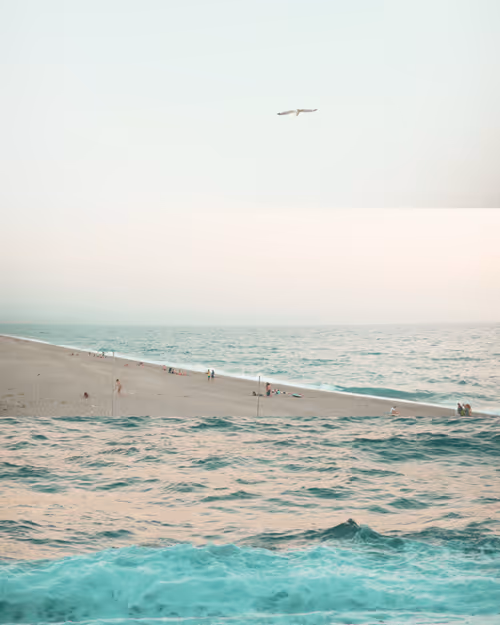 Item #115375069822792009375773103155813887783828718110418204598693532874682102972417 Media