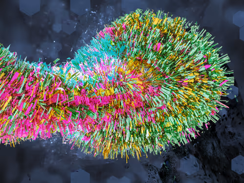 Item #17695285328414013321162775223300201078905627004348366341411776194470475726849 Media