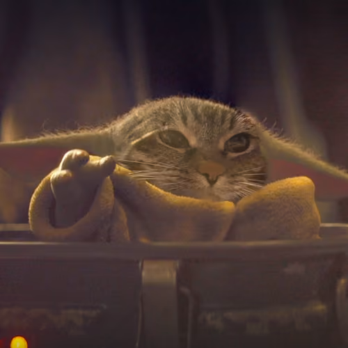 Grogu Kitty